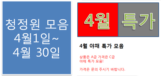 메인 중앙배너4